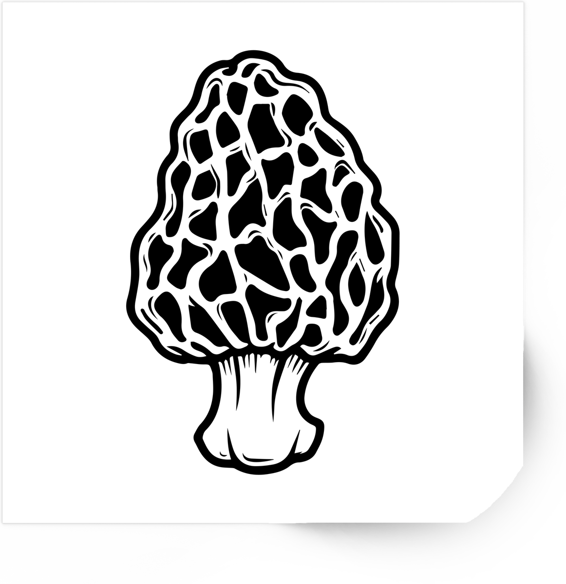 Morel Mushroom Sticker | Black & White Fungi Vinyl Decal | Foraging Mycology Gift