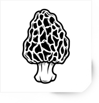 Thumbnail for Morel Mushroom Sticker | Black & White Fungi Vinyl Decal | Foraging Mycology Gift