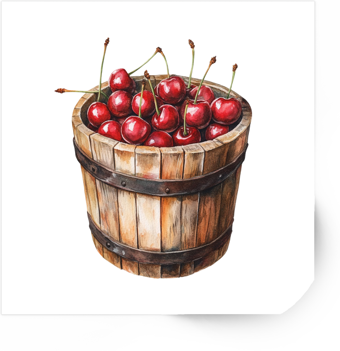 Bucket of Cherries Sticker | Watercolor Fresh Fruit Vinyl Decal | Farmhouse Kitchen Gift