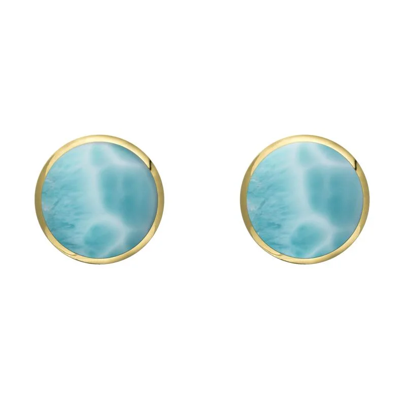 9ct Yellow Gold Larimar 6mm Classic Medium Round Stud Earrings